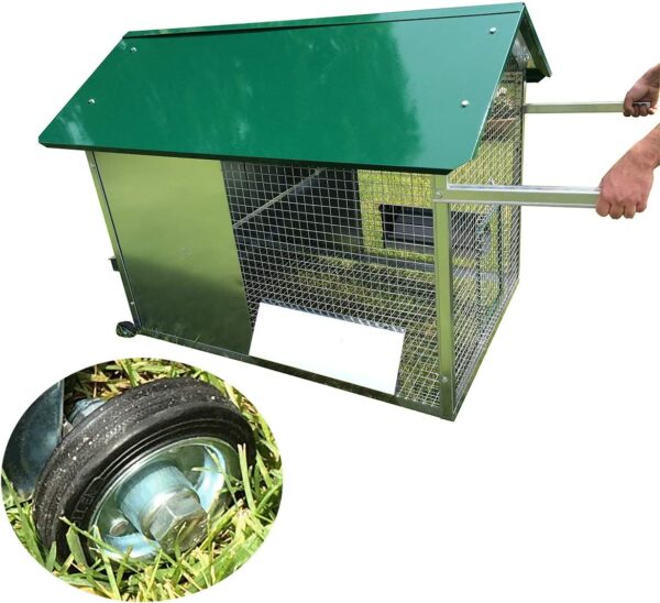 Pollaio Tosa erba per Galline Ovaiole