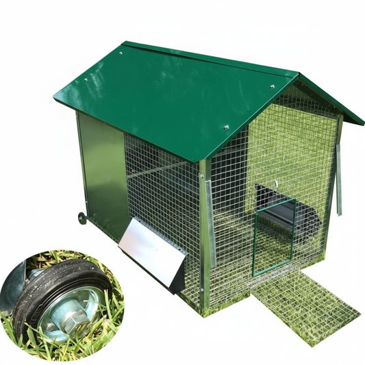 Pollaio Tosa erba - Immagine 1