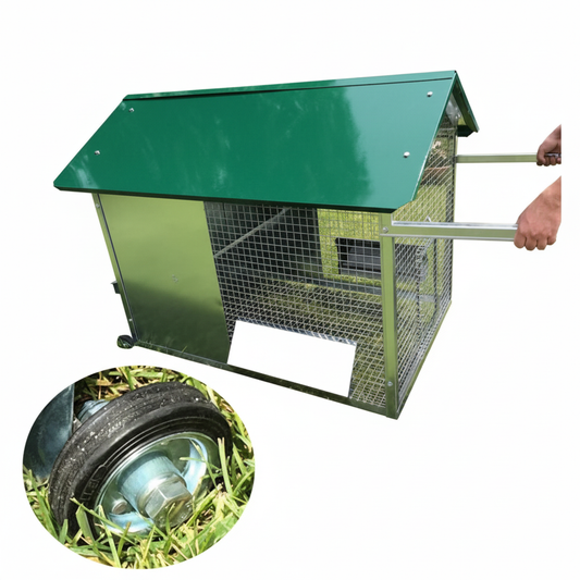 Pollaio Tosa erba - Immagine 3