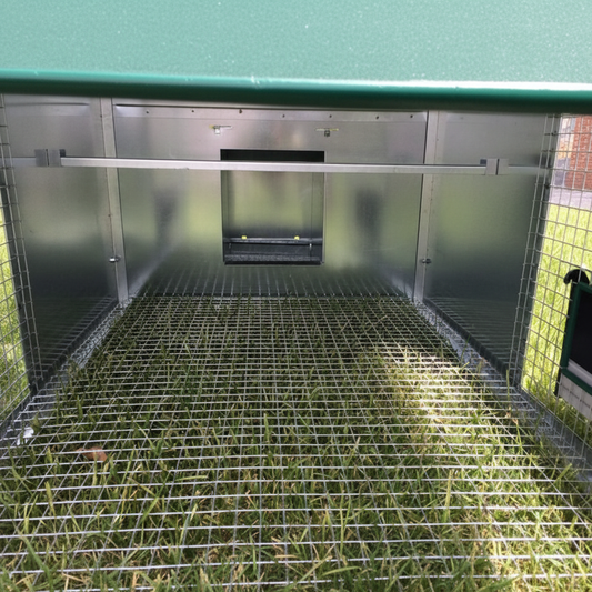 Pollaio Tosa erba - Immagine 4