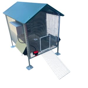 Pollaio Vietri Anti Predatore