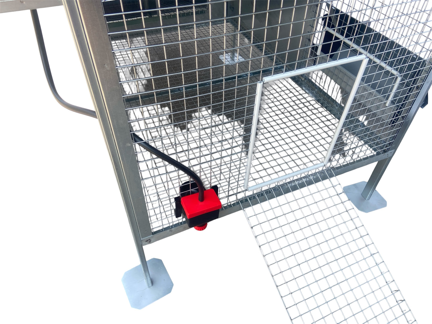 Pollaio Vietri Anti Predatore