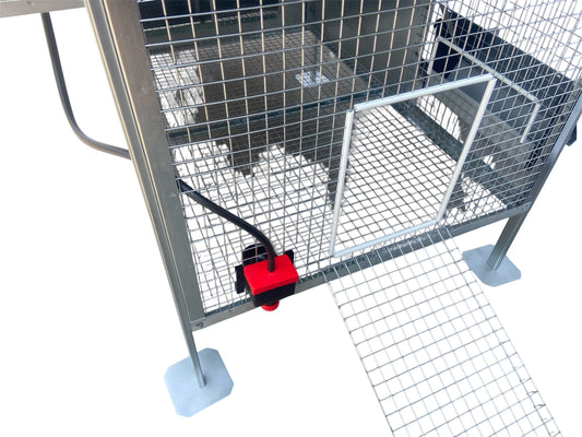 Pollaio Vietri Anti Predatore