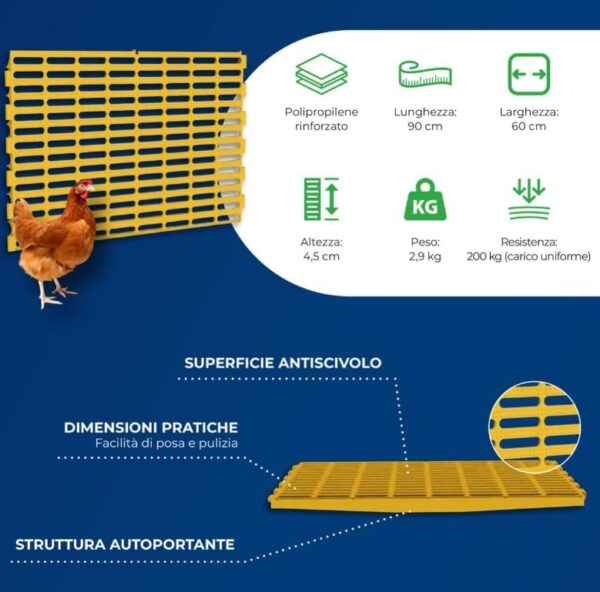 Posatoio Grigliato Per Avicoli
