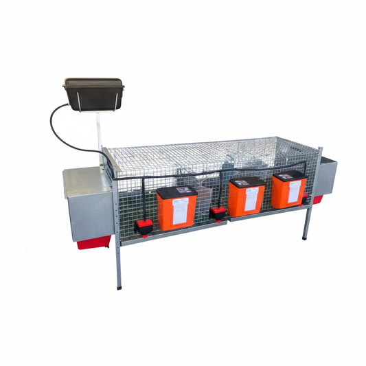 Rabbit Delux - Immagine 2