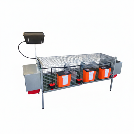 Rabbit Delux - Immagine 4