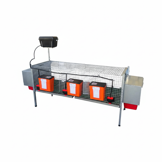 Rabbit Delux - Immagine 7