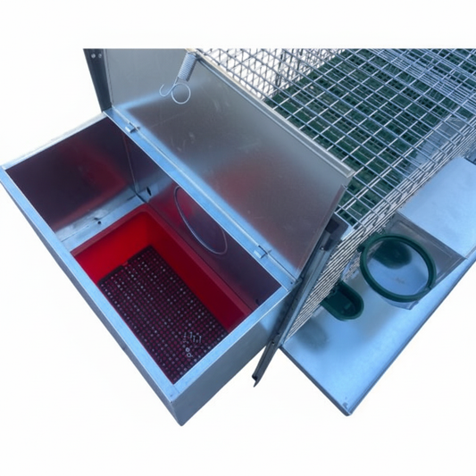 Rabbit Delux - Immagine 8