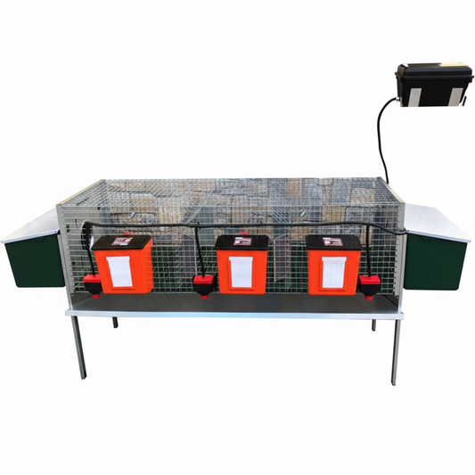 Rabbit Lusso - Immagine 1