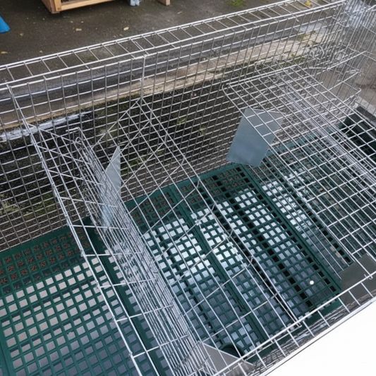 Rabbit Lusso - Immagine 8