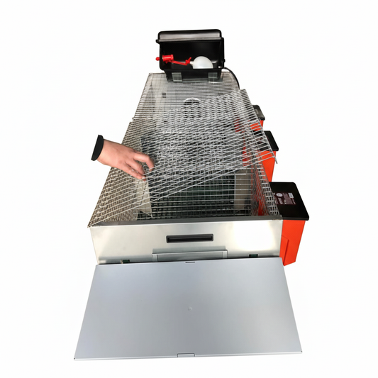 Rabbit Lusso - Immagine 9