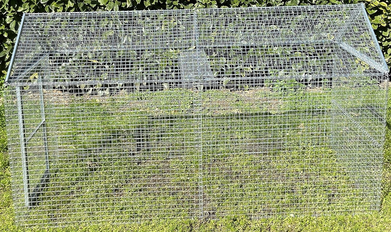 Pollio Recinto per Galline e altri animali