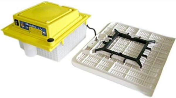 Gruppo elettrico e riparo inferiore Ricambio per incubatrici Covatutto 120