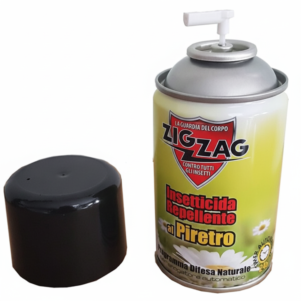 Zig Zag - immagine 2